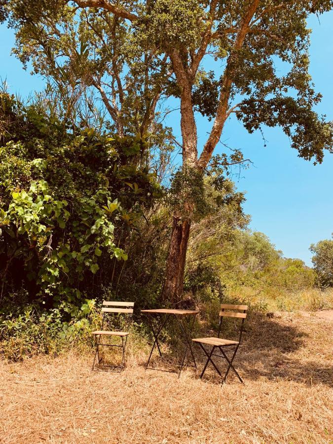 Private Eco Glamping In Aljezur Alfambras Hotel Kültér fotó